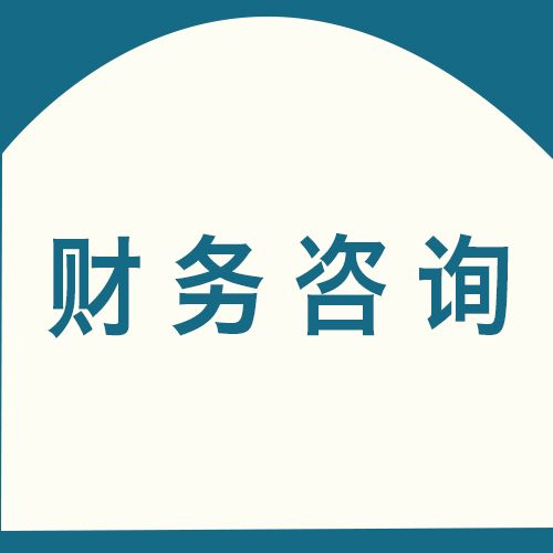 》点击进入财税咨询